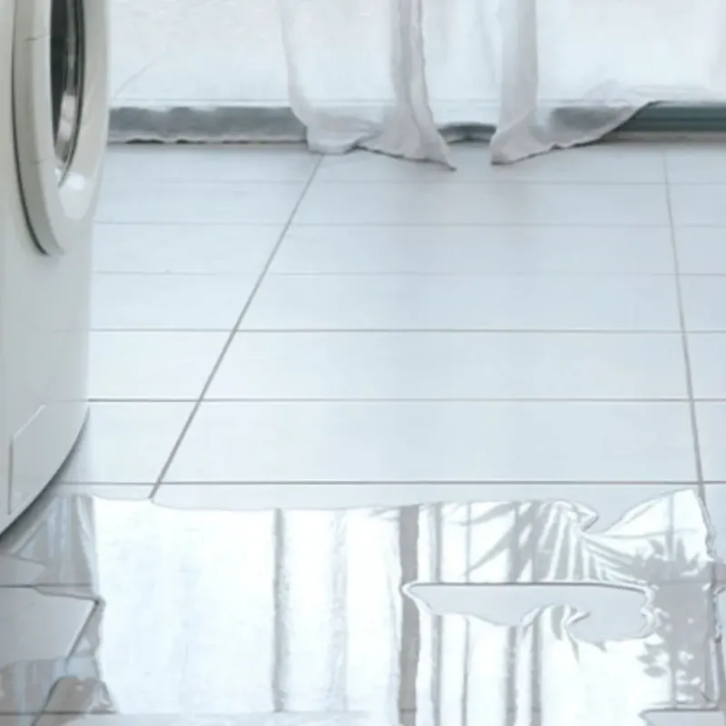Appliance Leak Cleanup in Harvard, IL