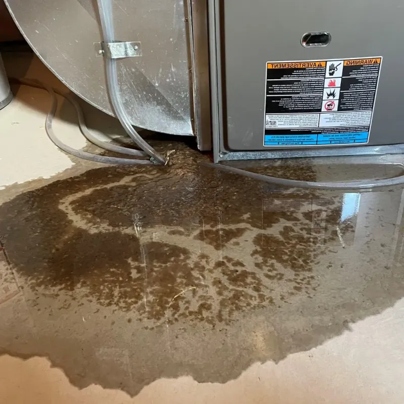 Pipe Burst and Leak Restoration in Harvard, IL