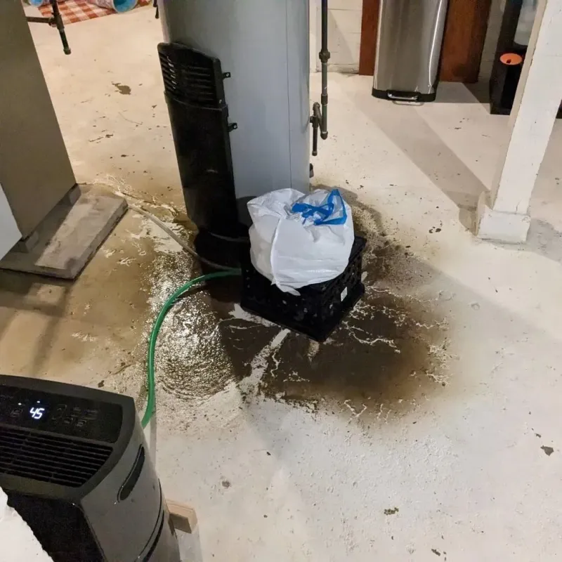Sewage Backup Cleanup Service in Harvard, IL